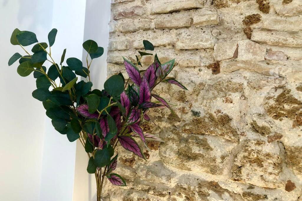 Gatu Premium Villa Libertad, Preferente Mayores De 25 Anos Y Familias Cádiz Exteriér fotografie