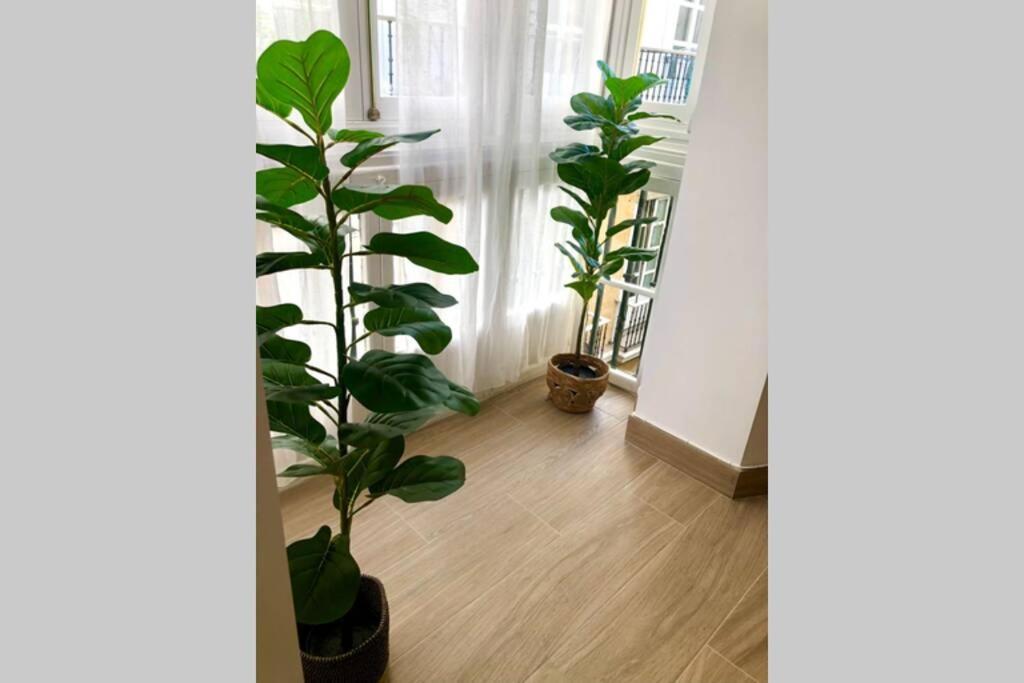 Gatu Premium Villa Libertad, Preferente Mayores De 25 Anos Y Familias Cádiz Exteriér fotografie