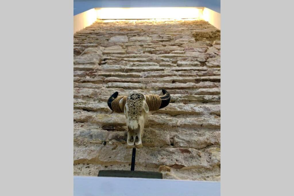 Gatu Premium Villa Libertad, Preferente Mayores De 25 Anos Y Familias Cádiz Exteriér fotografie